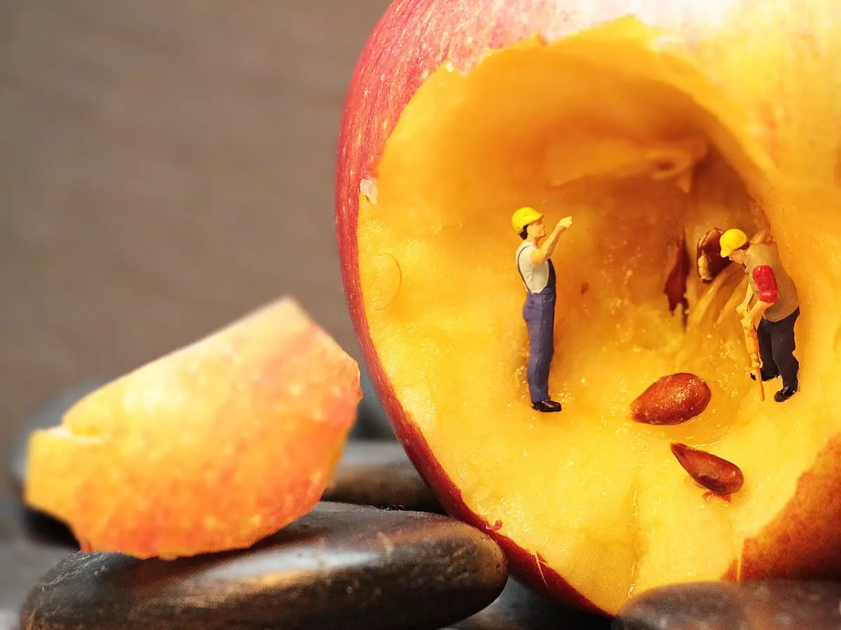 Tiny figures working inside a hollowed-out apple.