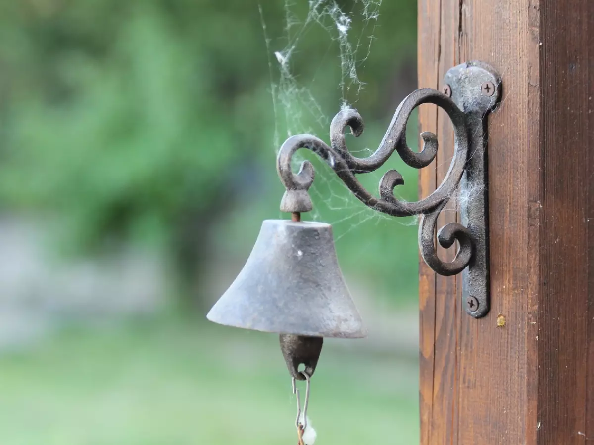 A close-up of a doorbell on a wooden door.