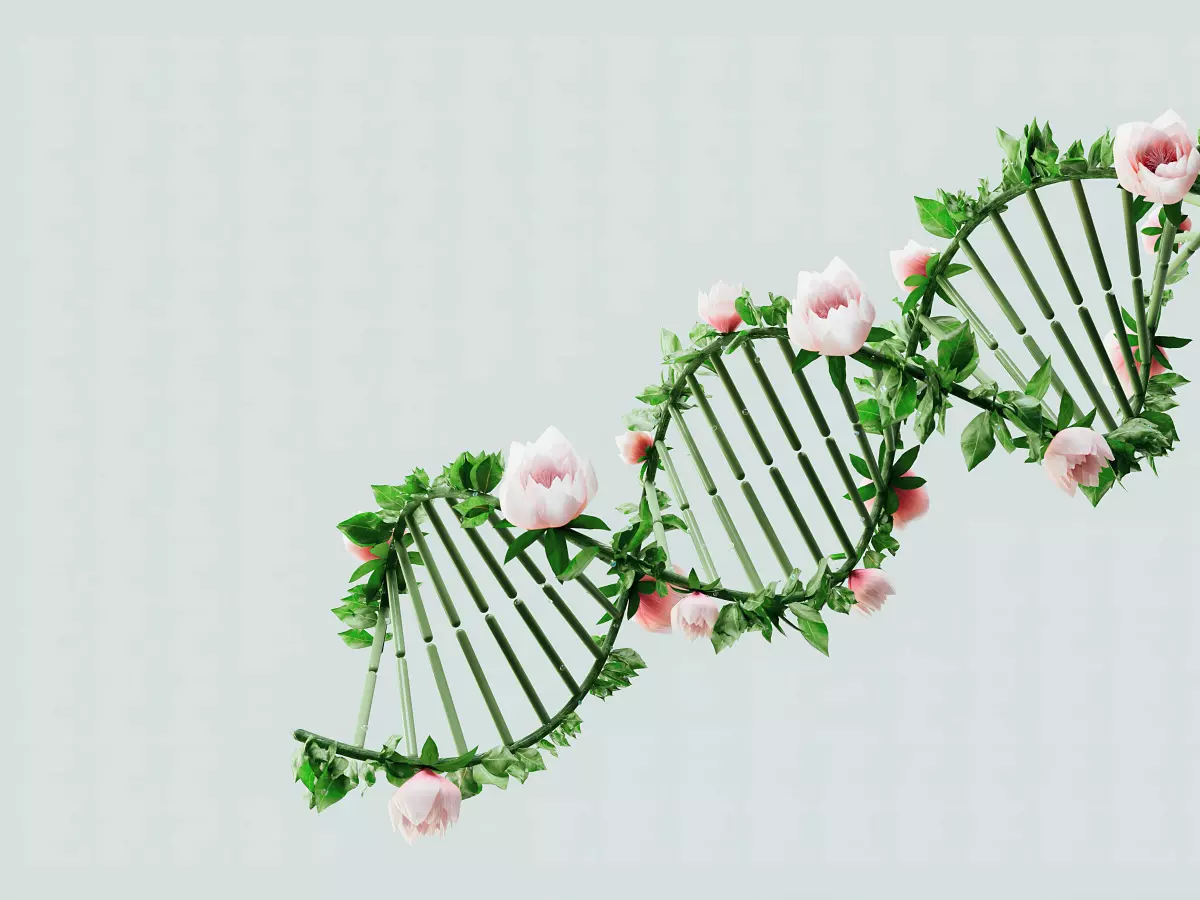 A DNA double helix with pink roses intertwining the strands. The background is a light blue.