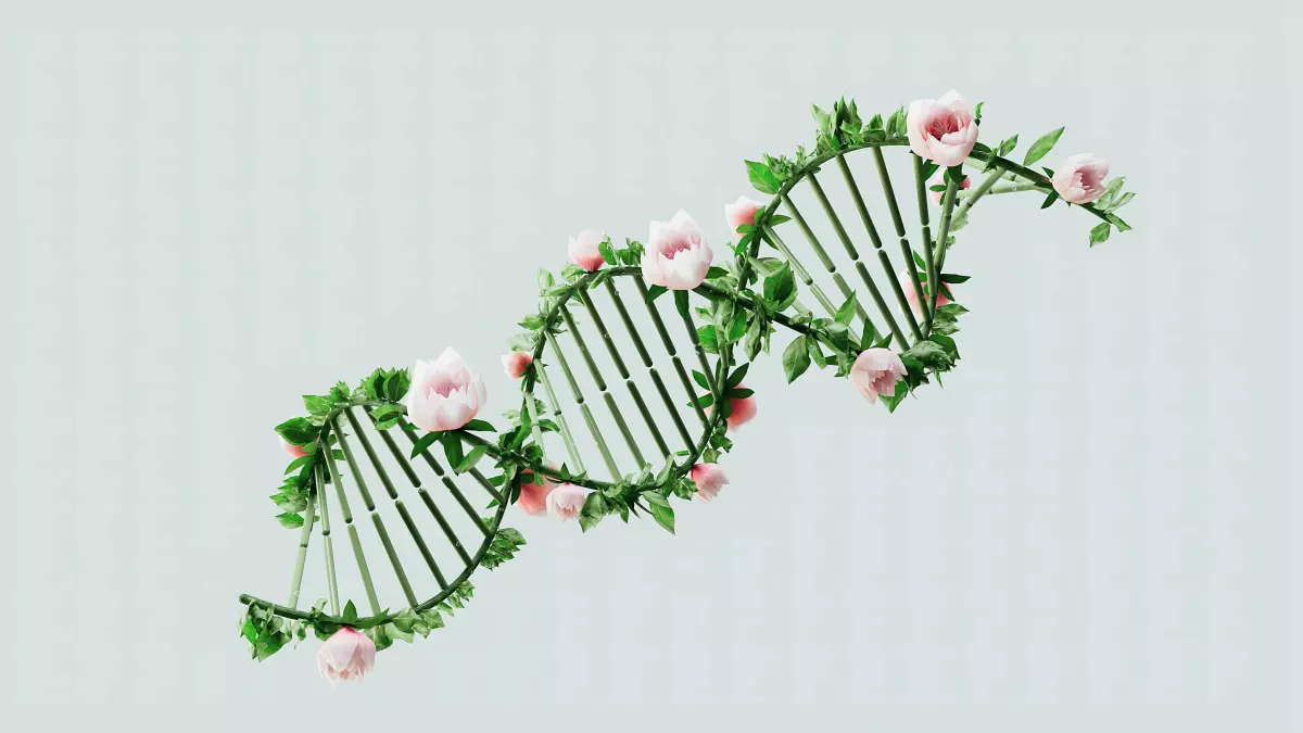 A DNA double helix with pink roses intertwining the strands. The background is a light blue.