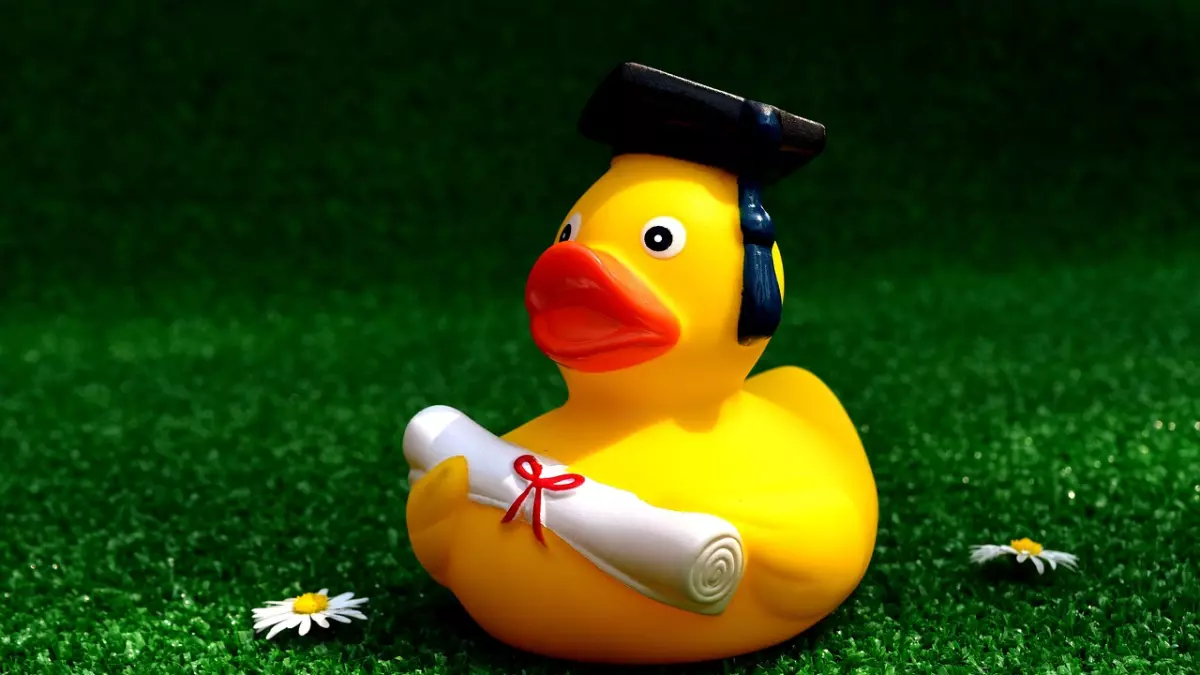 A yellow rubber duck with a graduation cap and diploma.