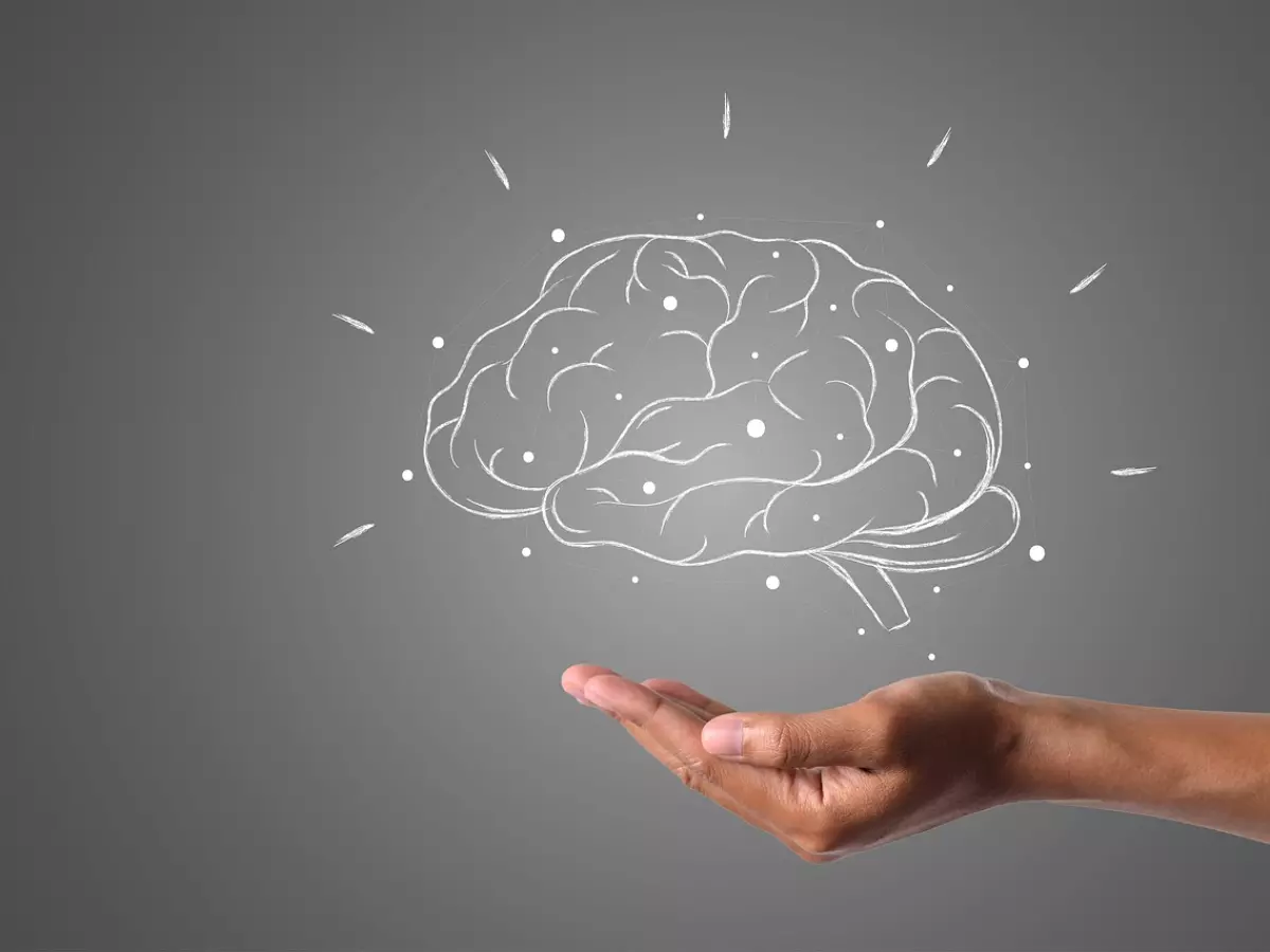 A hand is holding a white chalk drawing of a brain with a grey background.