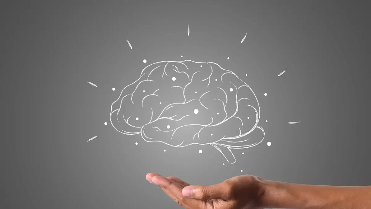 A hand is holding a white chalk drawing of a brain with a grey background.