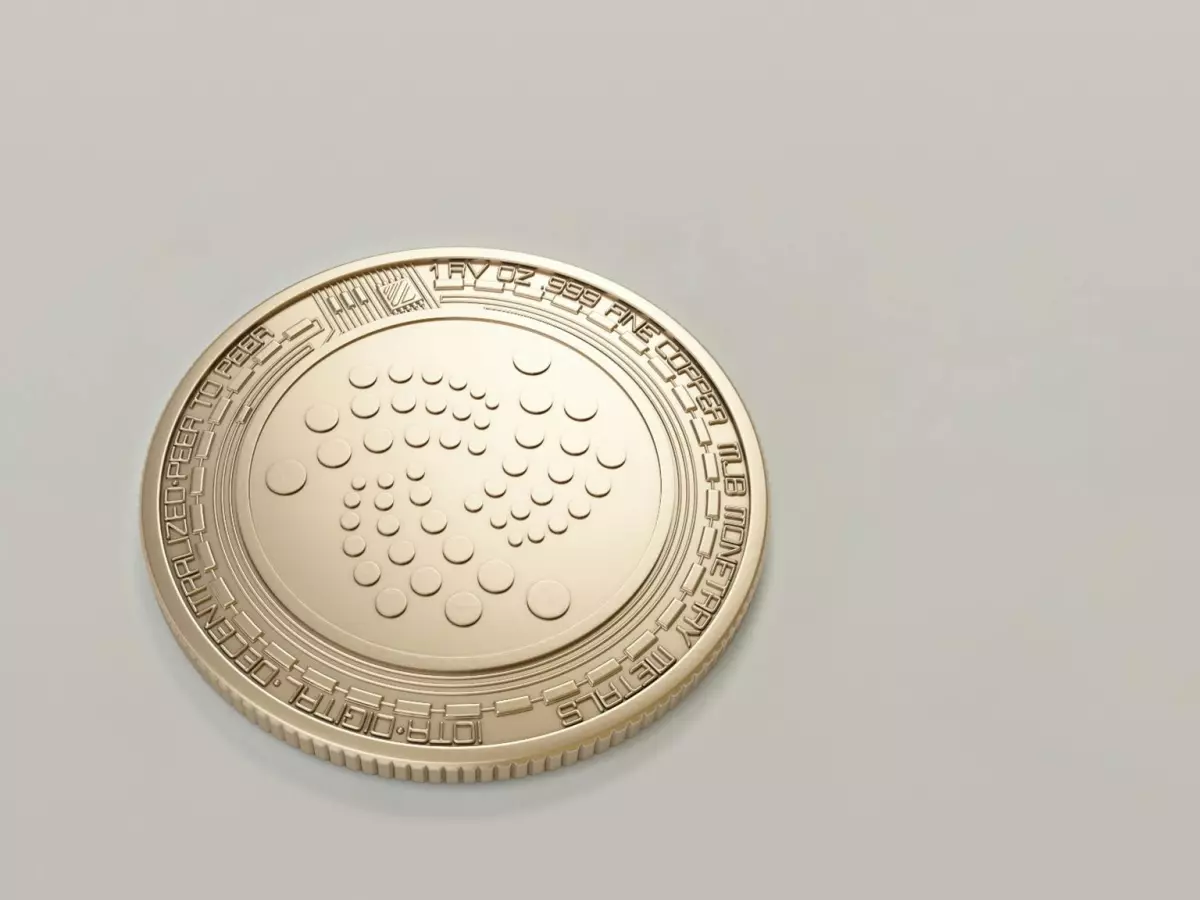 Close-up of a Toncoin