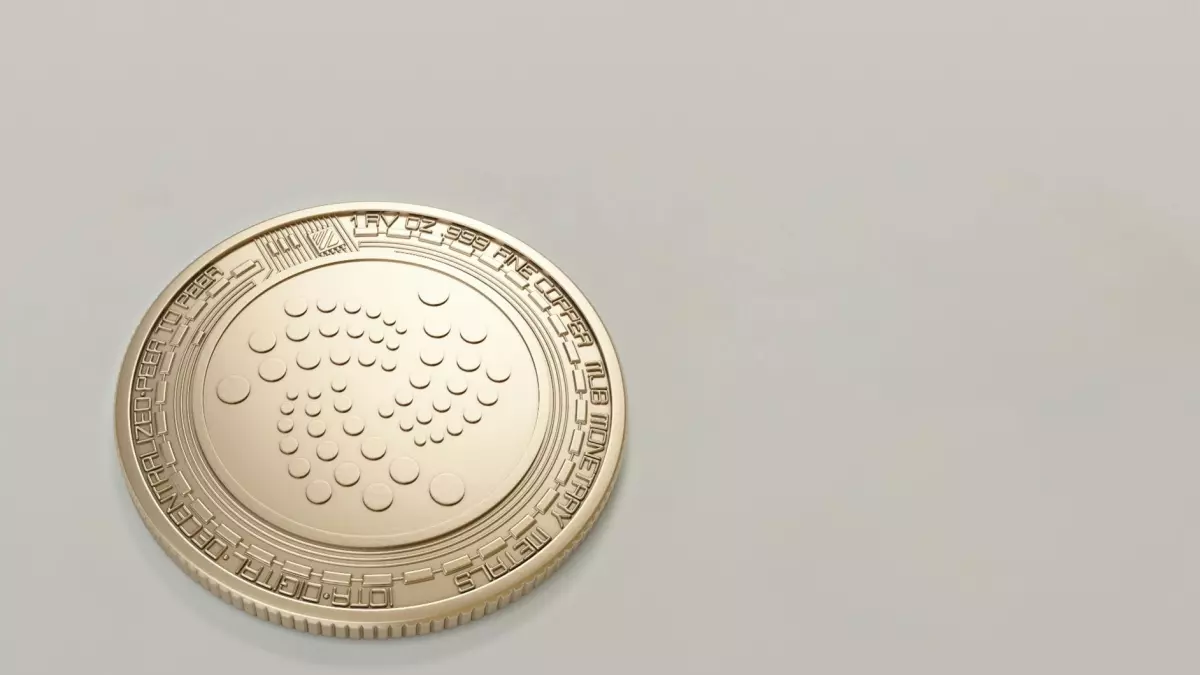 Close-up of a Toncoin