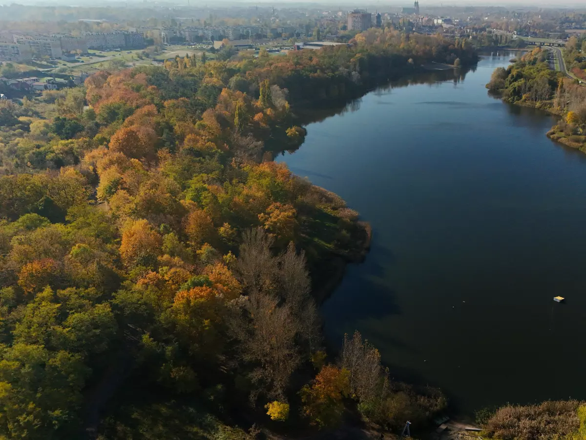 Aerial view of a lake surrounded by trees, shot from a drone