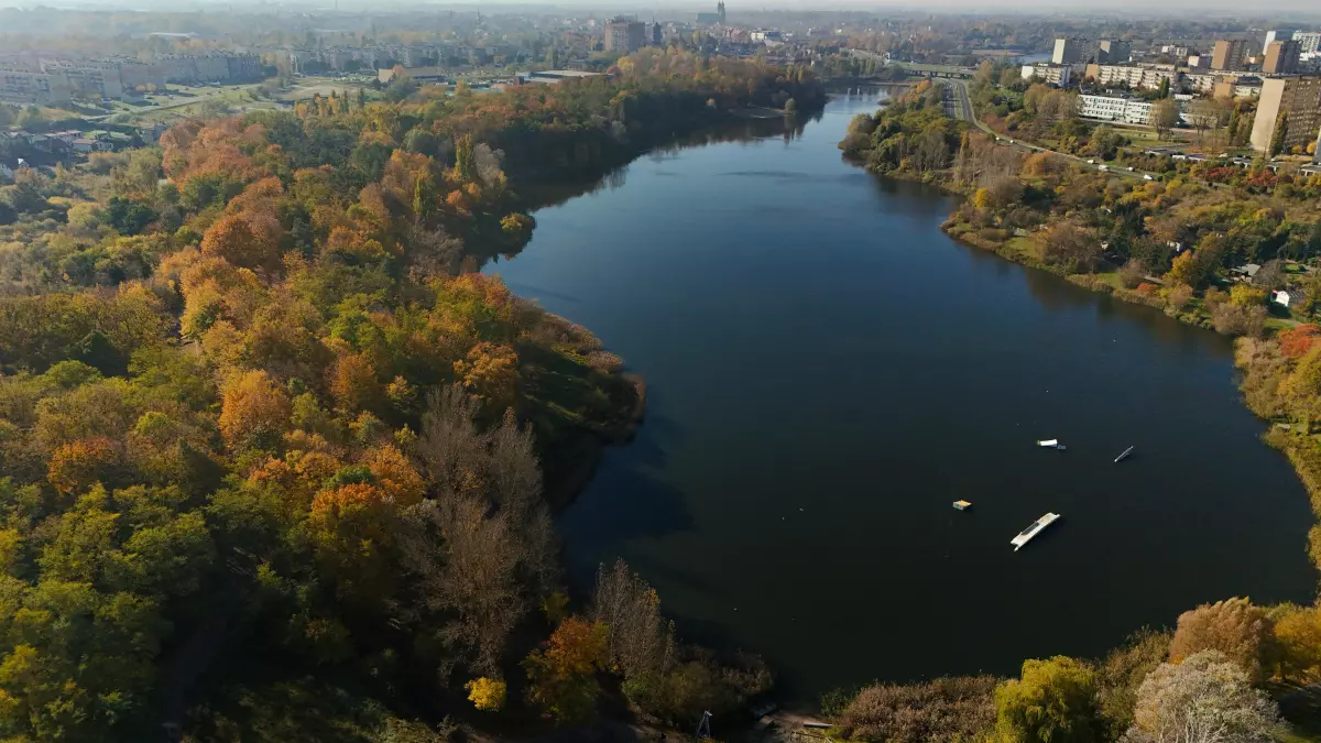 Aerial view of a lake surrounded by trees, shot from a drone