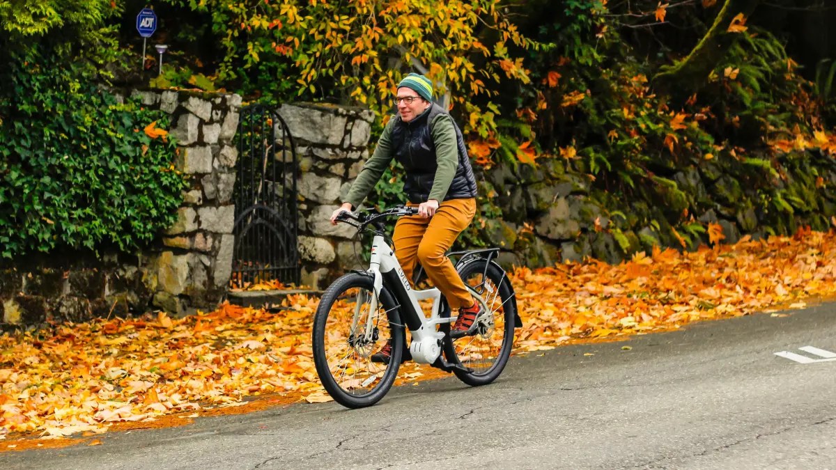 A person riding a bicycle on a paved road. The road is lined with trees and there are fallen leaves on the ground.