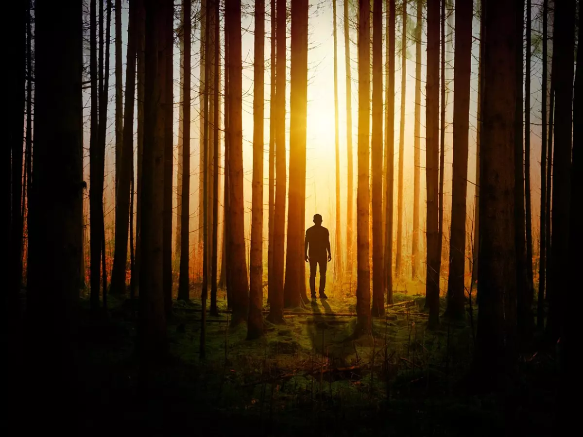 Silhouette of a person standing in a forest with the sun shining through the trees.