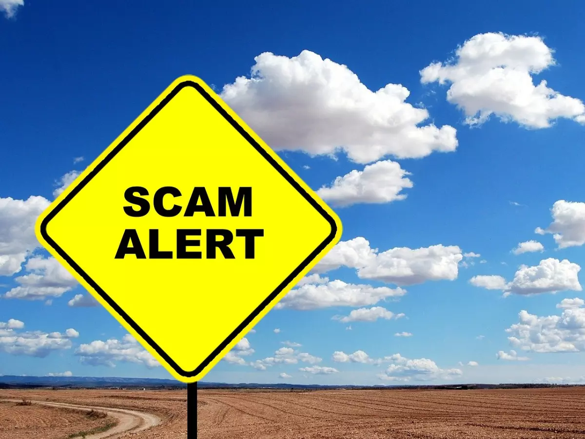 A yellow diamond-shaped road sign with 'SCAM ALERT' written on it is standing in a field against a blue sky.