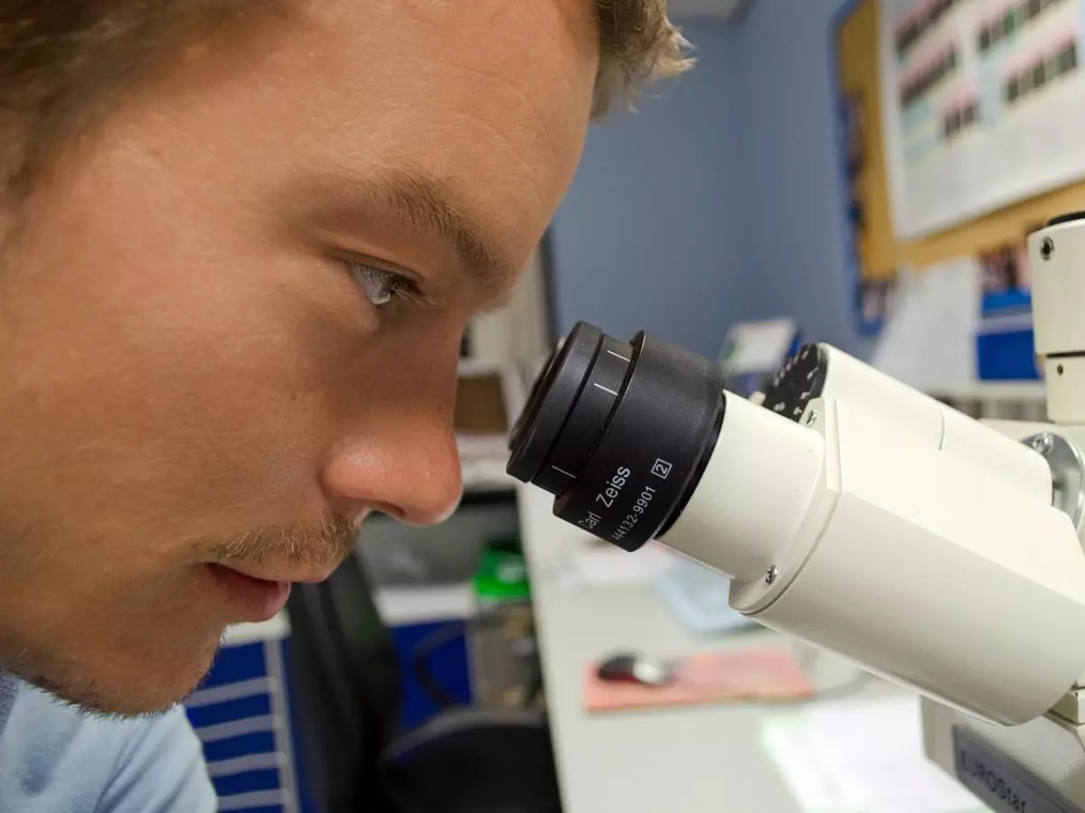 A man looking into a microscope with intense focus. The microscope is white and has a black lens. The man is wearing a blue shirt and has a beard. The background is blurred.