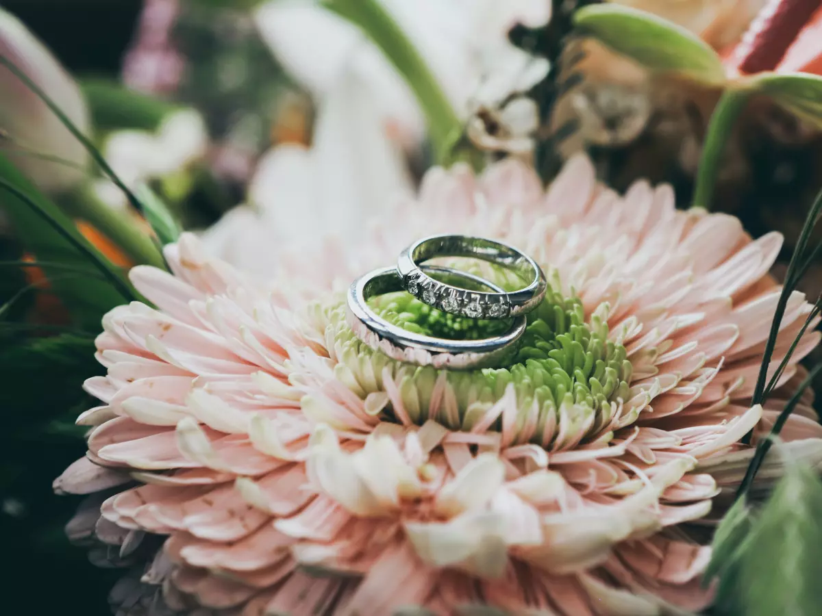 Two wedding rings resting on a pink flower.